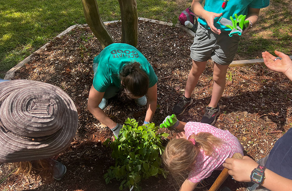 Activate-Kids_featured